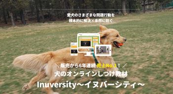 たった30日で愛犬が変わる！無駄吠えや噛み癖が劇的改善するしつけ法を今すぐ体験！