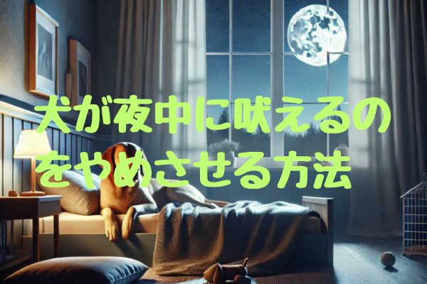 犬が夜中に吠えるのをやめさせる方法｜今夜からできる簡単対策5選と意外な原因