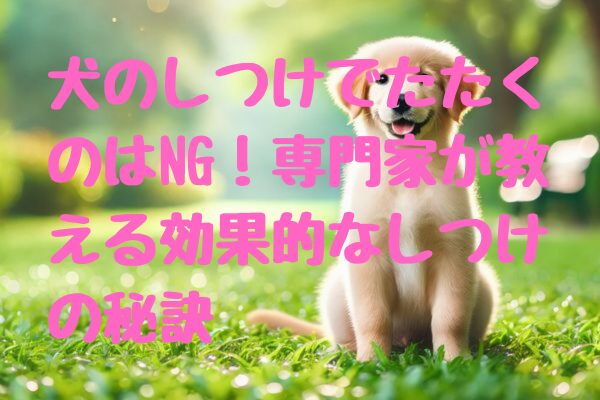 犬のしつけでたたくのはNG！専門家が教える効果的なしつけの秘訣