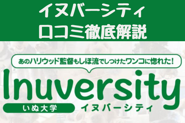 イヌバーシティの口コミ徹底解説：犬のしつけ教材の効果と評判を検証