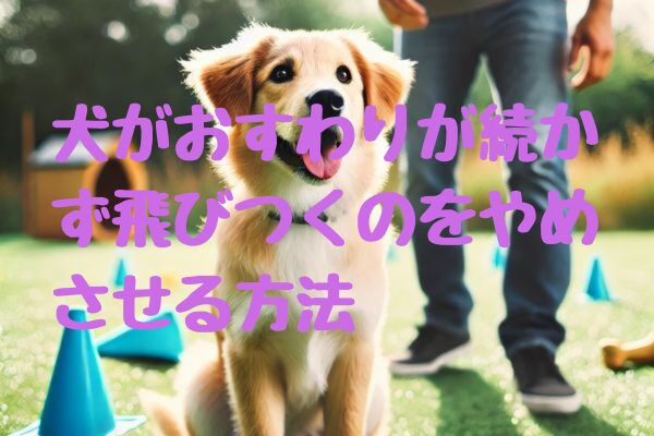 犬がおすわりが続かず飛びつくのをやめさせる方法