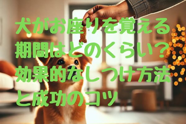 犬がお座りを覚える期間はどのくらい？効果的なしつけ方法と成功のコツ