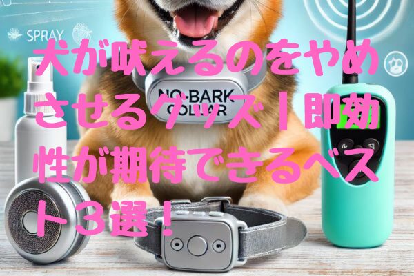 犬が吠えるのをやめさせるグッズ｜即効性が期待できるベスト3選！