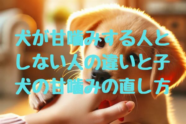 犬が甘噛みする人としない人の違いと子犬の甘噛みの直し方：効果的なしつけとトレーニング方法