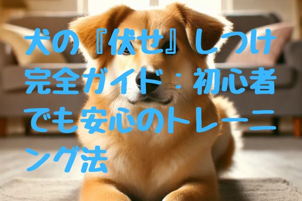 犬の『伏せ』しつけ完全ガイド：初心者でも安心のトレーニング法