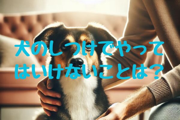 犬のしつけでやってはいけないことは？初心者が避けるべき8つのNG行為と正しいトレーニング法