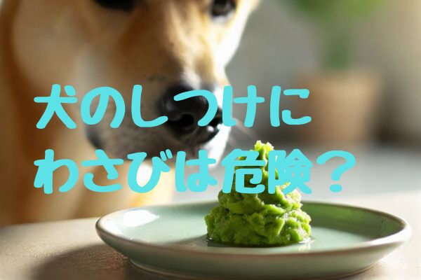 犬のしつけにわさびは危険？効果とリスク、代わりとなる安全な方法を分かりやすく紹介！