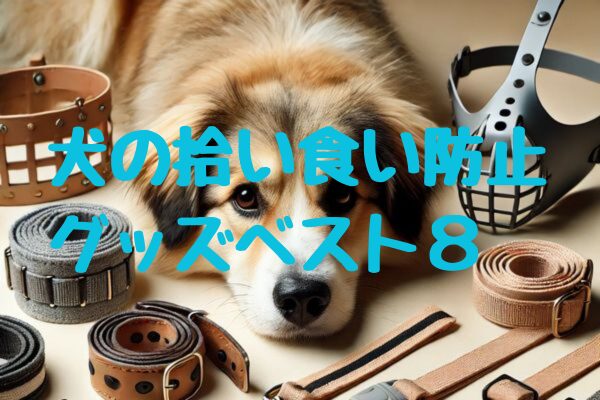 犬の拾い食い防止グッズベスト8｜拾い食い防止グッズを利用したトレーニング方法も解説